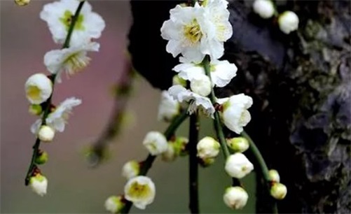 2023年4月10日开业吉利吗 是开市吉日吗