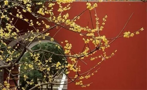 2023年4月29日宜开工营业吗,三月初十是复工的好日子吗