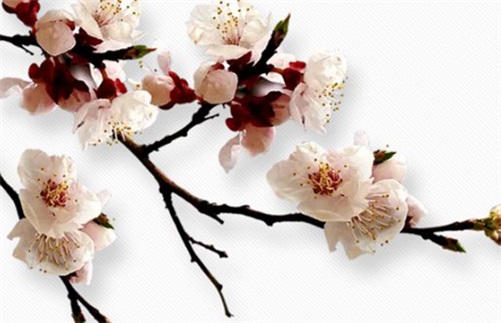 生肖属牛2023年7月出远门吉利日子,出行吉日查询