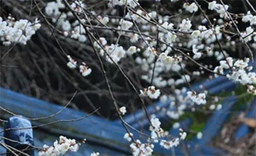 2023年4月26日是黄历开业交易吉日吗 开门做生意好吗