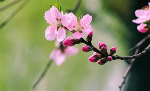 2023年4月24日开工复工吉利吗,三月初五是建房开工大吉日吗