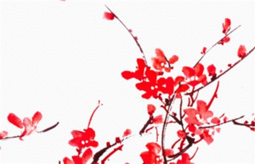 生肖蛇2023年7月开业好不好 开张最好的日子