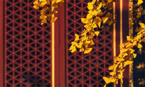 2023年5月17日搬家好吗 适合乔迁吗