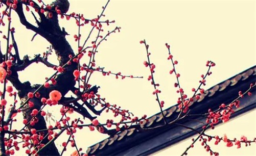 2023年4月13日宜复工吗,闰二月二十三是最佳开工好日子吗