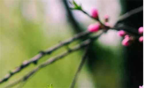 2023年4月23日宜开工营业吗,三月初四是复工的好日子吗