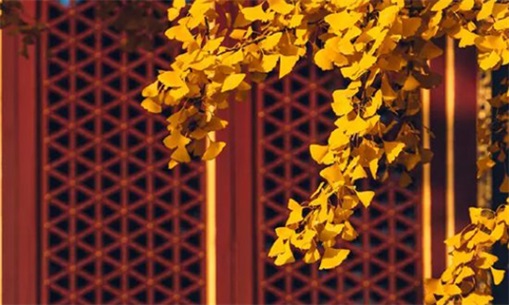 2023年5月18日适合搬家吗 是新房开火黄道吉日吗 