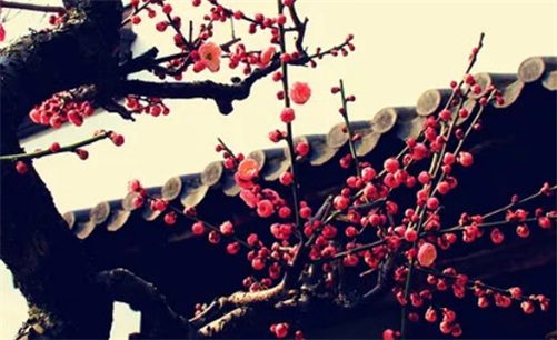2023年4月9日是上等开工黄道吉日吗,闰二月十九这天适合复工吗