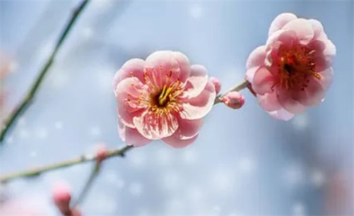 2023年4月21日是适合开业的吗 最宜开业的时辰是何时
