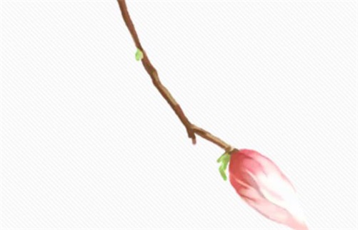 2023年5月8日是装换大门的好日子吗,三月十九是最佳安门吉日期吗