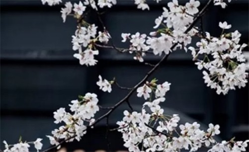 2023年4月14日是适合开业的吗 最宜开业的时辰是何时