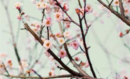2023年4月24日开业吉利吗 是开市吉日吗