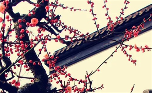 2023年4月12日开工复工吉利吗,闰二月二十二是建房开工大吉日吗