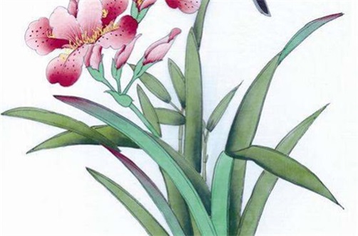2023年5月8日接新车日子好不好,三月十九当天能提车吗