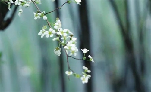 2023年4月26日是开工好日子吗,三月初七开工复工最佳吉时