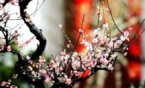 2023年4月30日开工复工吉利吗,三月十一是建房开工大吉日吗