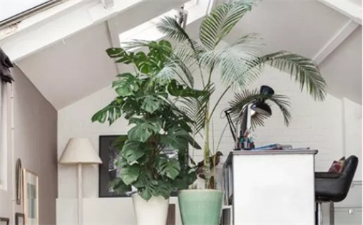 2023年农历四月初六宜搬家入新房吗 是搬新居的大吉日吗