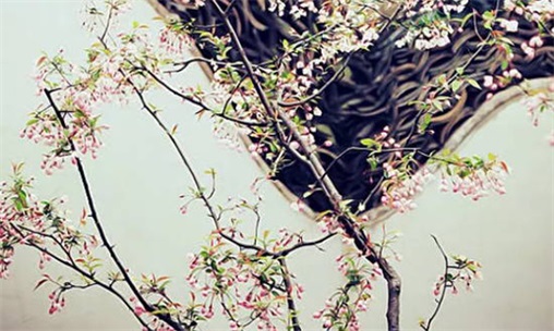 2023年8月31日搬家好不好 是不是搬新房好日子