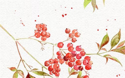 2023年7月择日出行吉日 本月出行哪天日子最好