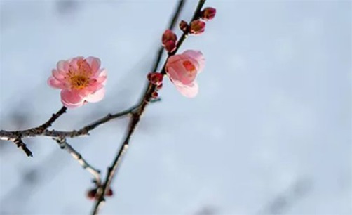 2023年9月10月日历 今年9月10月买车好不好