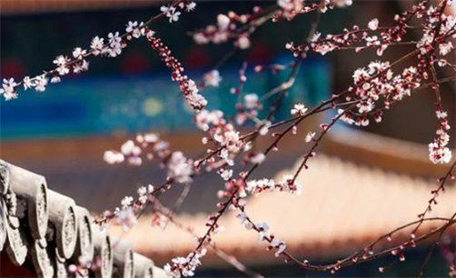 2023年10月26日是买车黄道吉日吗,九月十二当天能提车吗