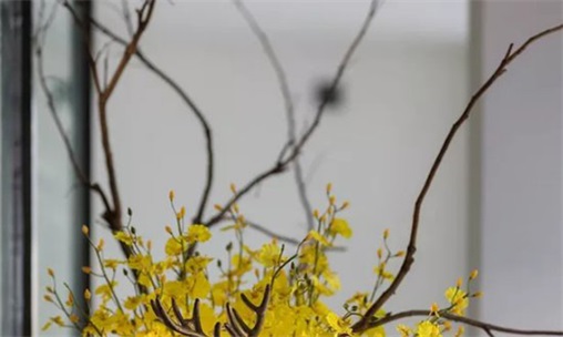 2023年农历七月二十三可搬新家开火吗 是不是最吉利的乔迁日期