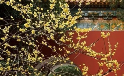 2023年10月2日接新车日子好不好,八月十八这天是黄道吉日吗