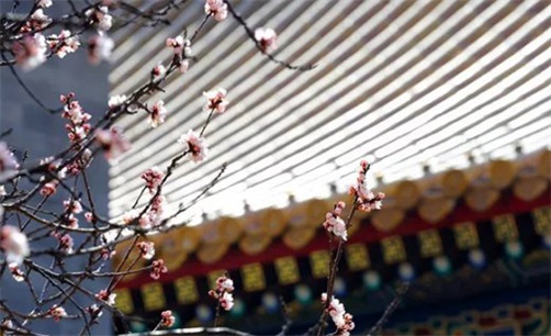 2023年10月12日是买车黄道吉日吗,八月二十八当天能提车吗