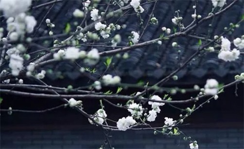 2023年10月18日提车日子怎么样,九月初四可以买新车吗