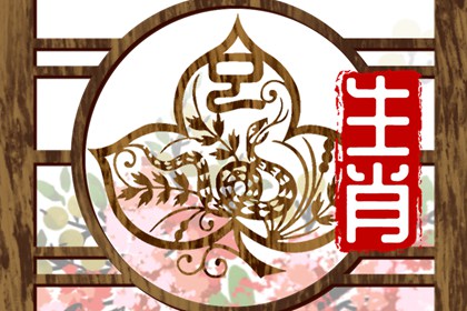生肖蛇女配生肖鸡男婚姻 是属于上等婚配
