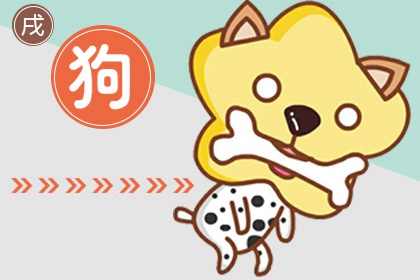 生肖狗与生肖猪配不配婚姻 生肖配对分析