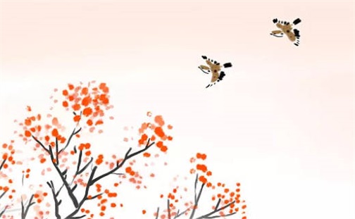 很小众却很惊艳的店名 轻奢极简店名女装